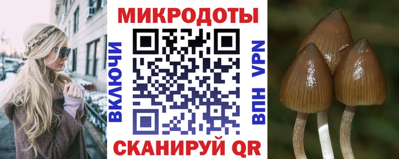 Псилоцибиновые грибы мухоморы  Купить где  Бутурлиновка 